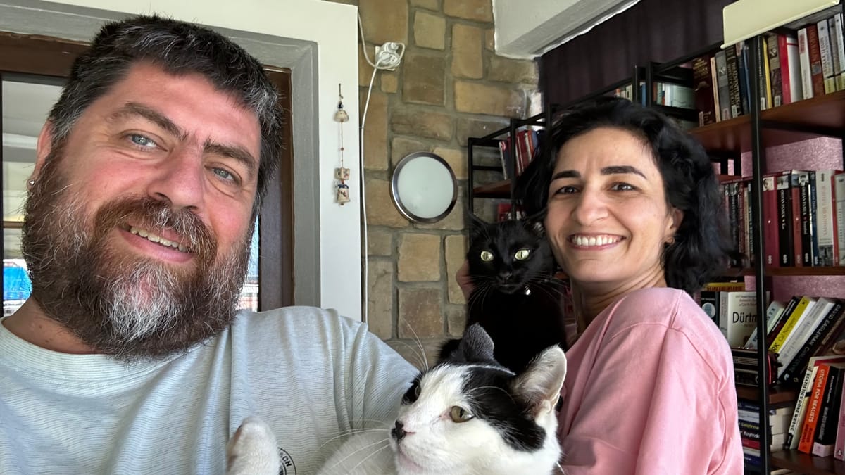 İnsanlar neden kedi postu altına kedi postu atar?